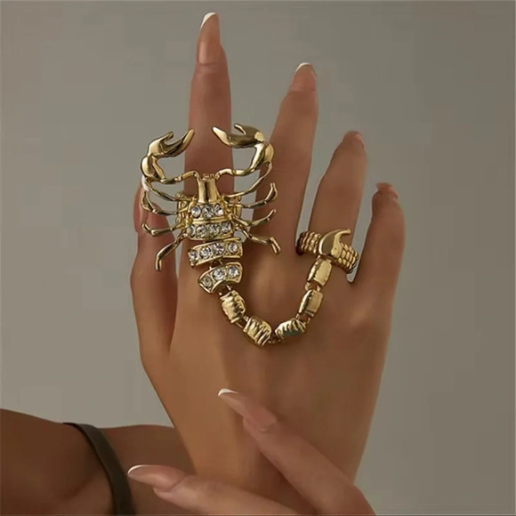 Scorpio Momento Mori Silver Plated Retro Ring - Picture 3 of 14